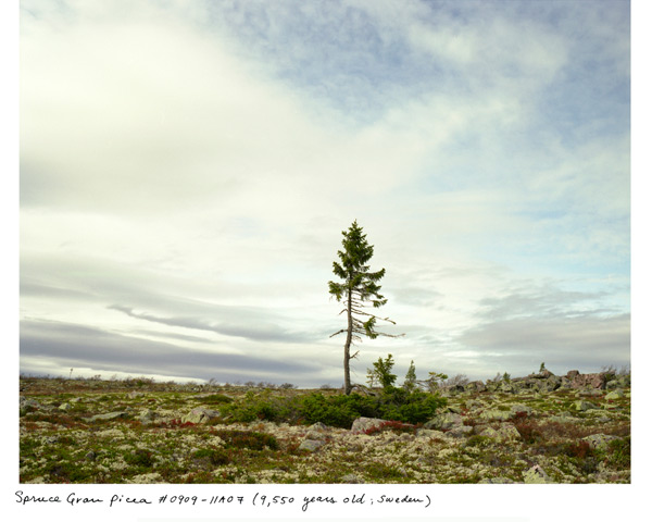 Sussman_16_01